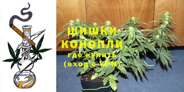 apvp Няндома