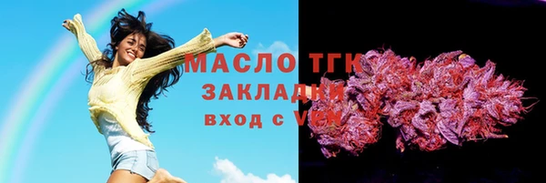 тгк Мамадыш