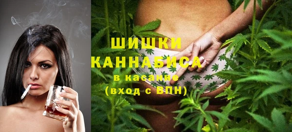 тгк Мамадыш