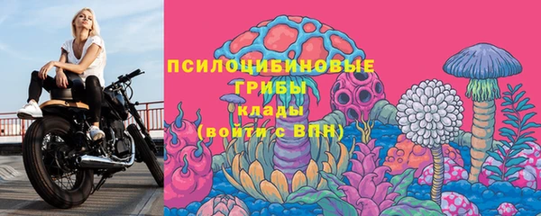 прущие крисы Елабуга