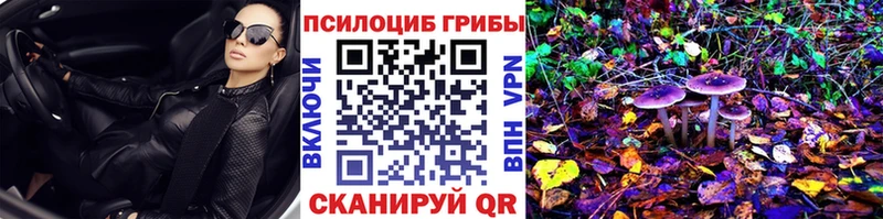 Псилоцибиновые грибы GOLDEN TEACHER  цены   Пущино 
